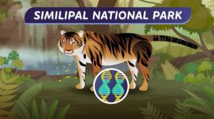 12. Microevolution: What's An Allele Got to Do With It?: Crash Course Biology