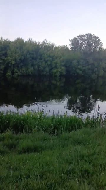 река цна