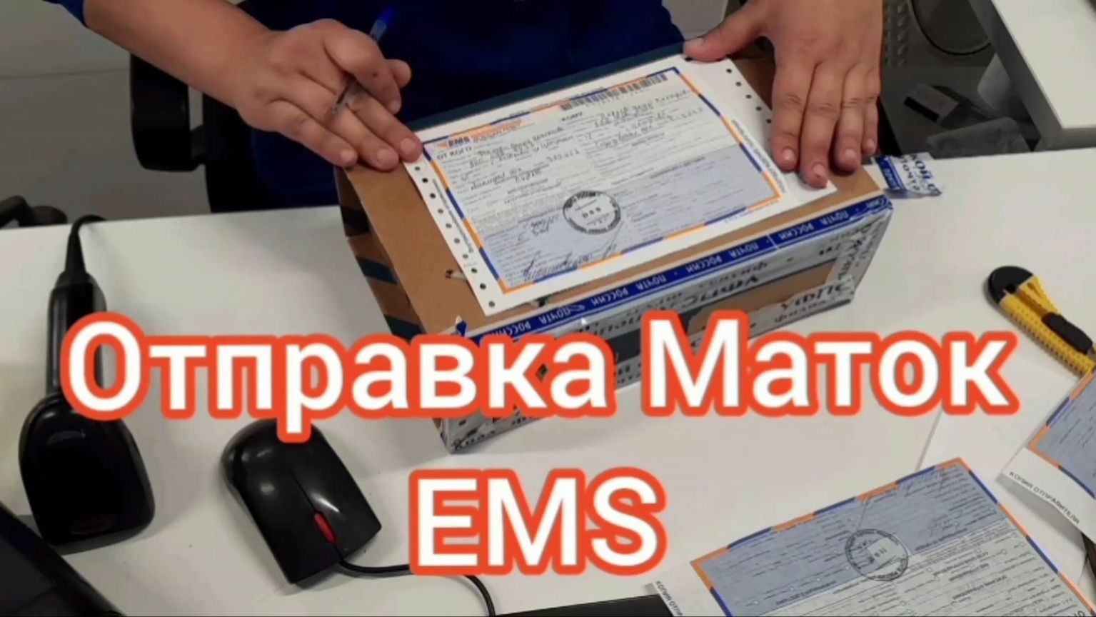 Отправила Маток Почтой России EMS смотреть онлайн