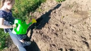 СП«Вязальный Переполох. Лето. Сезон2». Отчёт 1