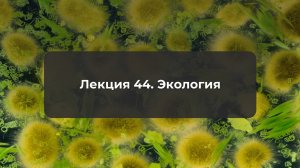 Лекция 44. Экология.