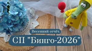 «Бинго-2026» весенний отчёт. Что успела?