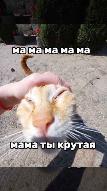 отправь маме ❤️❤️❤️❤️❤️❤️ смотреть онлайн