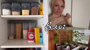 VLOG: организация на кухне | хранение | лечение зубов