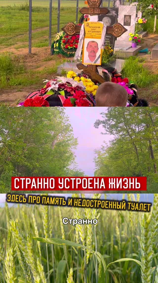 Скучаю по бате / строим уличный туалет, собираю черешню, взрослая жизнь странная штука  #переезднаюг