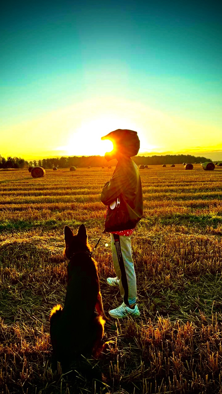 Golden sky (золотое небо)
