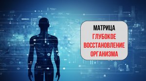 🌟 МАТРИЦА —Глубокое волновое восстановление организма ✨
