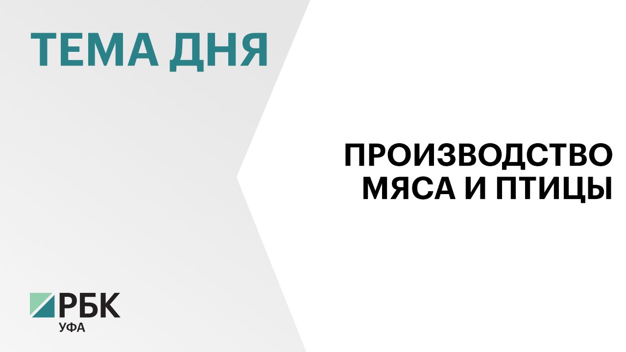 Производство мяса и птицы в Башкортостане за последние семь лет выросло более чем в два раза смотреть онлайн