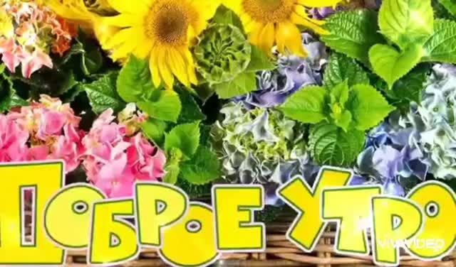 *** "КОЛДОВСКОЙ ВЗГЛЯД" - ИГОРЬ ОГУРЦОВ *** ПУСТЬ УТРО БУДЕТ ДОБРЫМ ДЛЯ ВСЕХ И ВСЕГДА   ***