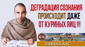 Деградация Сознания происходит даже от куриных яиц !!!