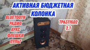 Активная самодельная бюджетная колонка New