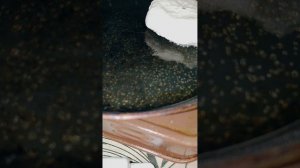 сырники с кокосовой стружкой