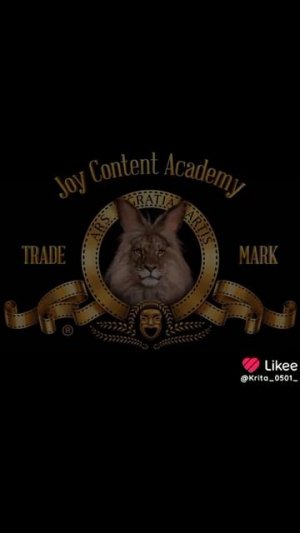 Видео из Likee часть 2