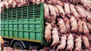 Моменты, Которые Нужно Увидеть, Чтобы Поверить
