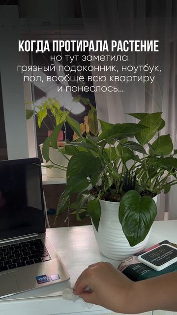 А за кадром этой салфеткой я протерла все что можно…