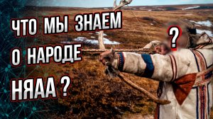 Что мы знаем о народе няаа? Чьи они потомки? Как повлияли на них тысячи лет жизни в Арктике?