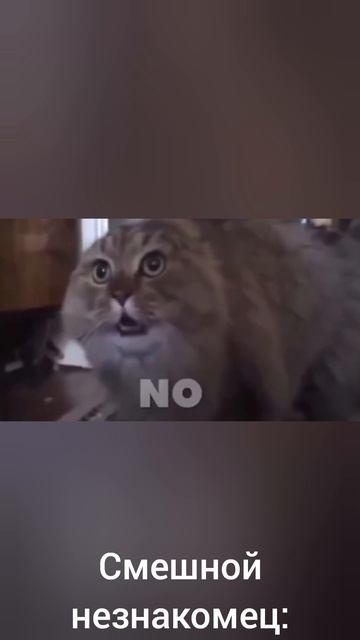 Смешной незнакомец