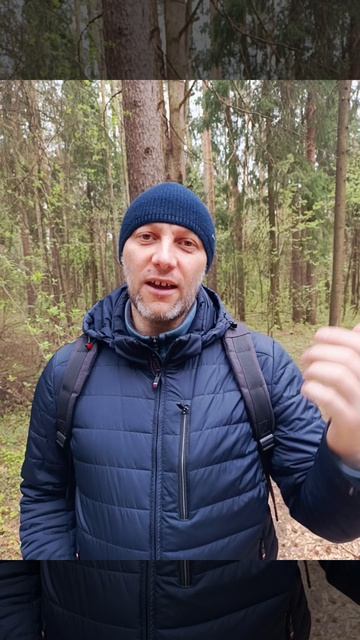 Кем человек был в прошлой жизни?
