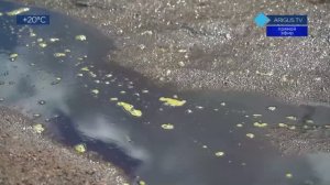 ДУРАКИ И ДОРОГИ В «ГОРодЕ ДЛЯ ЛЮДЕЙ» ОТ БРО «ЕДИМ РОССИЮ» 9.06.26      БОРИС БОДИЕВ