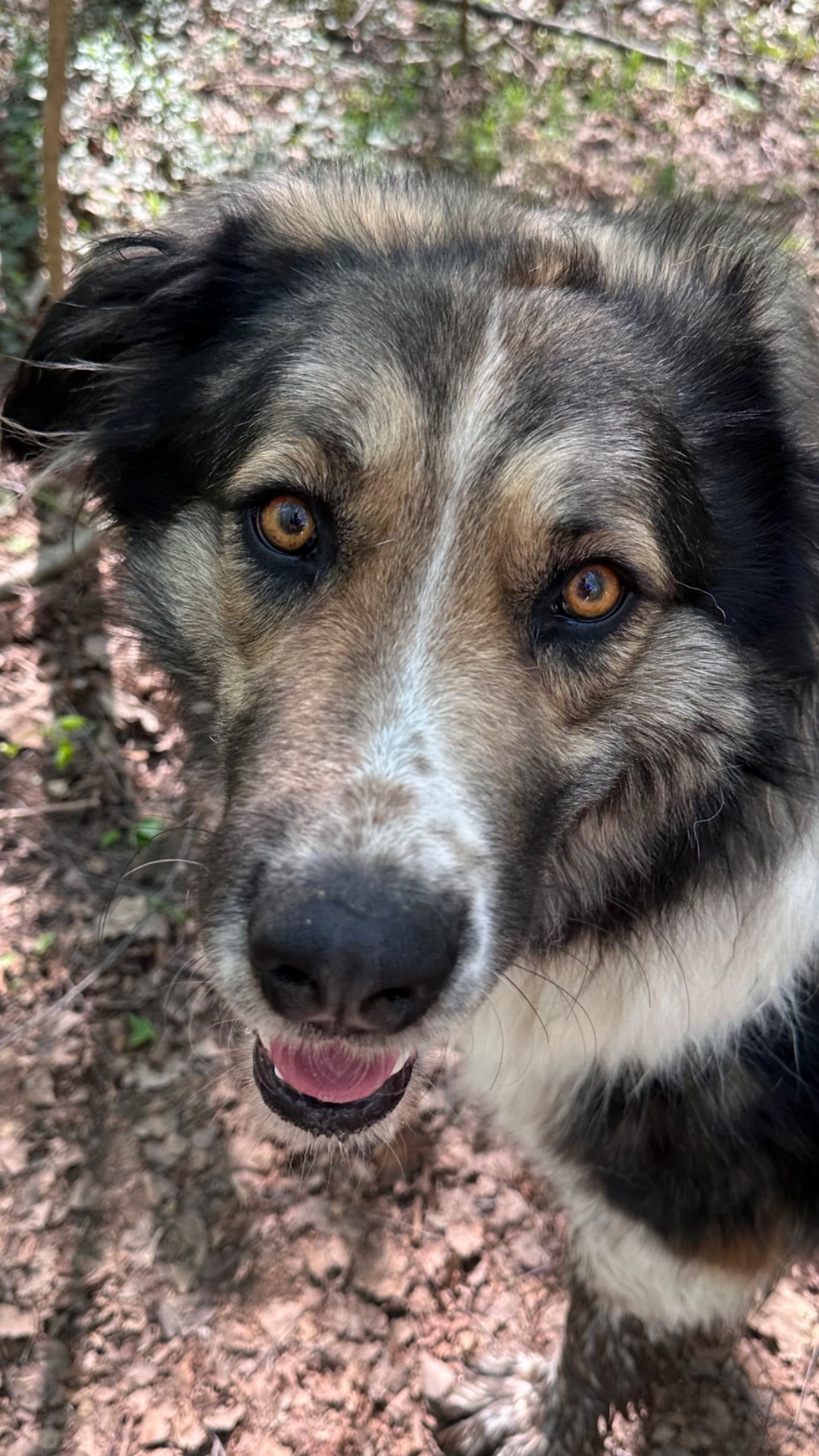 Аля🐶❤️🤩