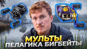 Я ВЫБИРАЮ «МУЛЬТЫ» И ВОТ ПОЧЕМУ!