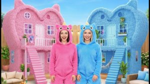 Мы построили 2 мини-дома# синий и розовый!💙💖🏡
