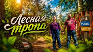 Лесная тропа