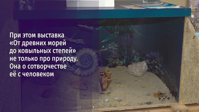 В Старооскольском краеведческом музее проходят сразу две выставки о природе Черноземья