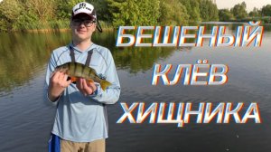 Рыбалка в парке! Городской хищник не дремлет! #рыбалка #спб