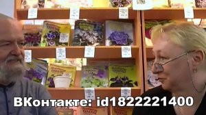 ДФ.Презентация сортов сенполий С.Репкиной (РС-)