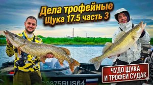 Щука 17.5кг. Часть 3. Три дня рыбалки на монстров.