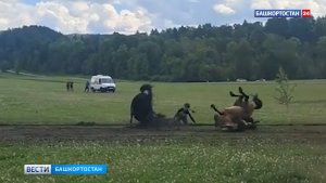 Момент столкновения двух лошадей на скачках в Башкортостане попал на видео