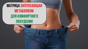 КОМПЛЕКС МАТРИЦ | Поддержка метаболизма и очищения организма | 2 часа