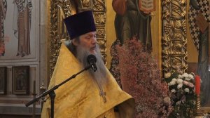 «Что значит видеть Христа». Проповедь протоиерея Артемия Владимирова.060626.