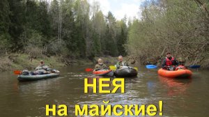 Нея на майские! Сплав по реке Нея Костромская область в мае 2026 на пакрафте Чайка и байдарках.