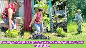 Почему огород через проход. Как спасаюсь от мошки. Новый нахлебник