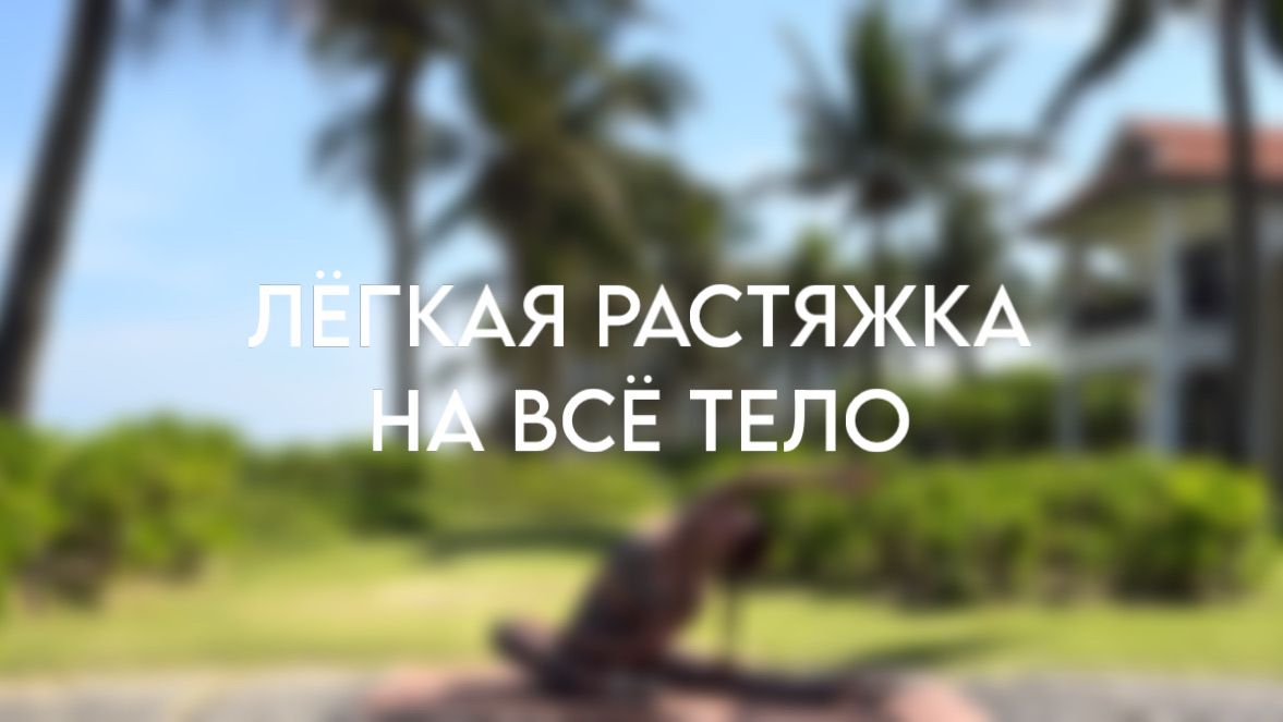 Лёгкая растяжка на всё тело