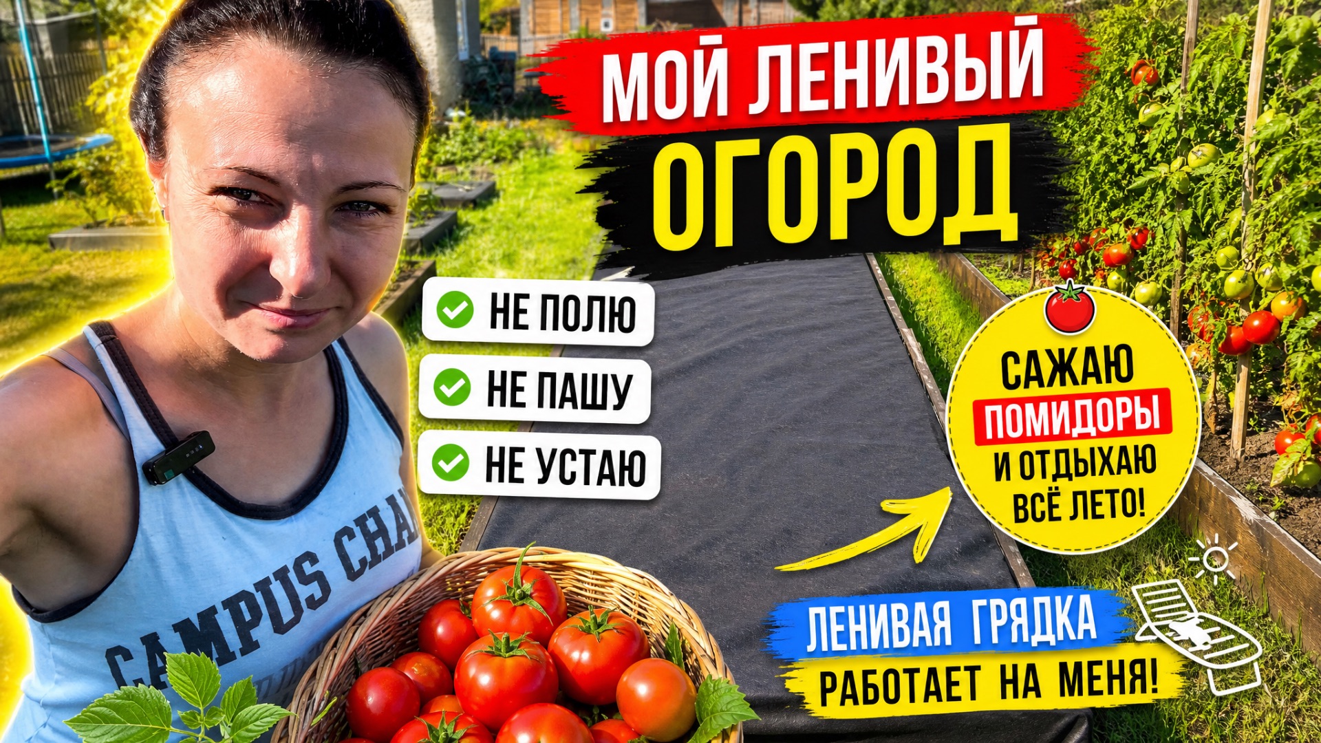 ВЫСАДИЛА РАССАДУ ПОМИДОР В ЛЕНИВЫЕ ГРЯДКИ/МОЙ ЛЕНИВЫЙ ОГОРОД/САЖАЮ ПОМИДОРЫ И ОТДЫХАЮ ВСЕ ЛЕТО смотреть онлайн