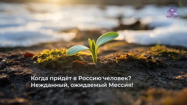 “Когда придёт в Россию человек?” Катрен от 29.06.16 смотреть онлайн