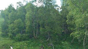 Приэльбрусье канатная дорога !