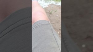 Егор а2 гуляет с Тимофэкой