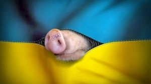 🔴Прилетело по центру свинарника в хороде Чугуев🔴