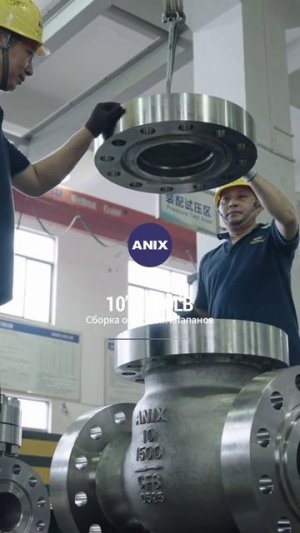 10'' 1500LB Сборка обратного клапана-ANIX