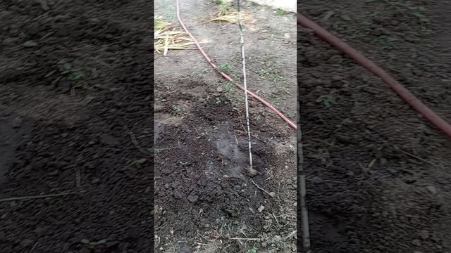 1000105354.mp4борьба с кротом продолжаетсч