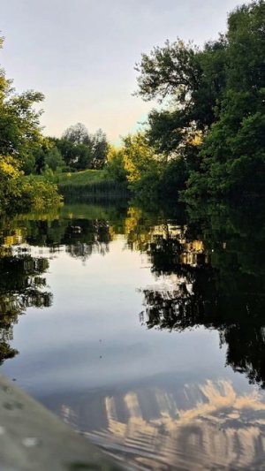 Речка.Лето.Пение птиц.