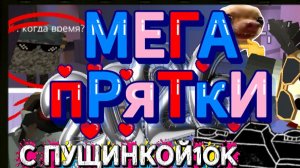 МЕГА ПРЯТКИ в (чиКЕН ГАН) с ПУШИНКОЙ