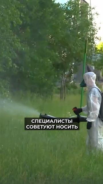 📍Комары захватили города России этим летом