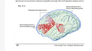 А. Глаз, А. Апанаскевич «Сфера Разума» (2.6 - 2.8). Аудиокнига