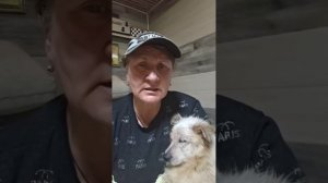 Обзвонила ветеринаров по поводу Шоколадки