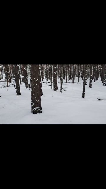вспоминая зиму смотреть онлайн